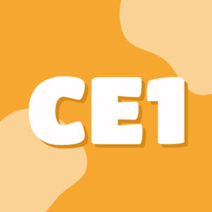 CE1 LOT unique