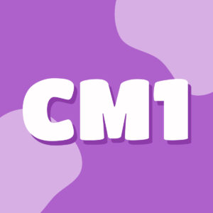 CM1 Lot 1 : PAPETERIE