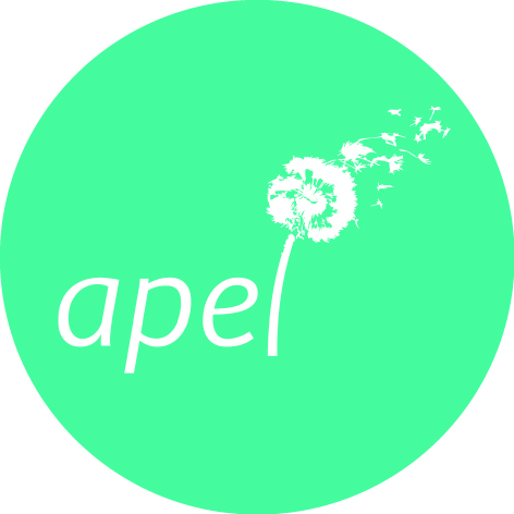 adminsitrateur-apel-03