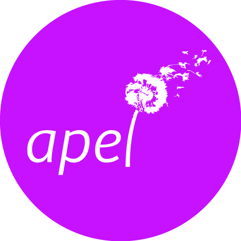 adminsitrateur-apel-04