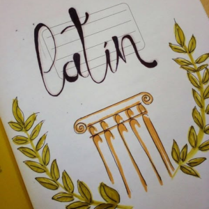 Collège Lot 13 : Latin 3èmes